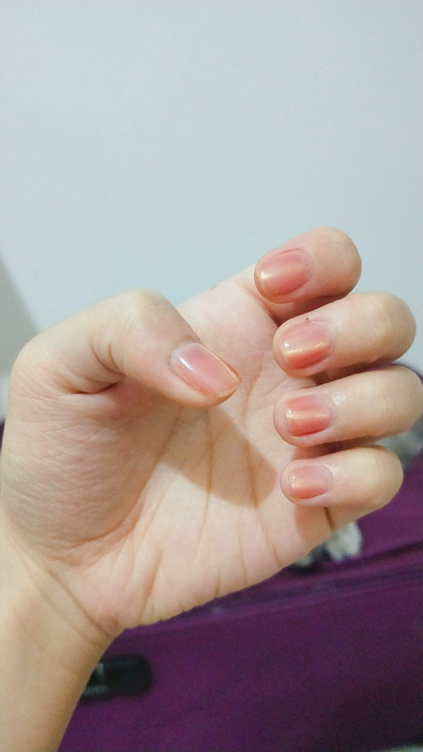 yabo app-云]唎	扪-yabo app